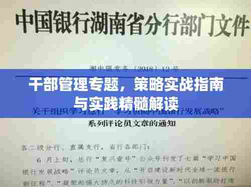 干部管理专题,策略实战指南与实践精髓解读