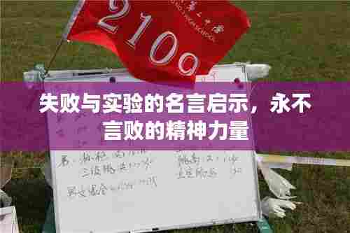 失败与实验的名言启示,永不言败的精神力量