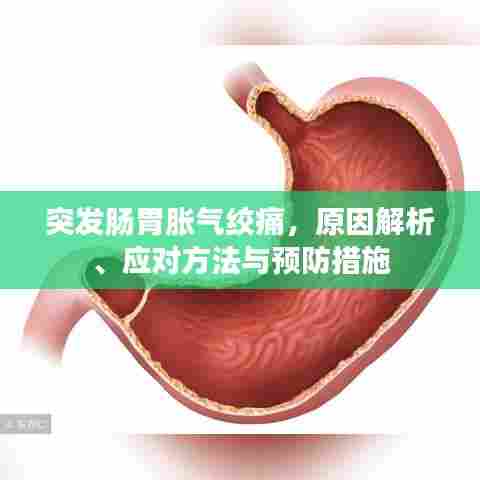 突发肠胃胀气绞痛,原因解析、应对方法与预防措施