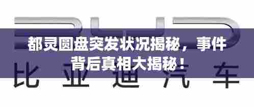 都灵圆盘突发状况揭秘,事件背后真相大揭秘!