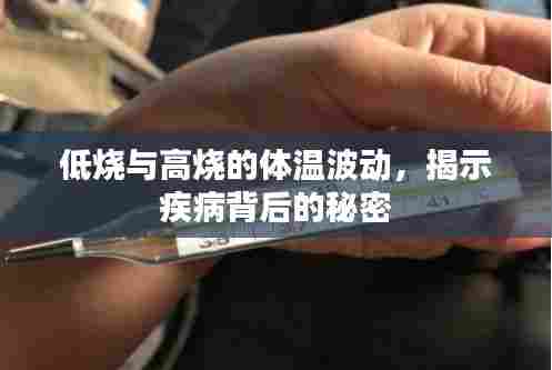 低烧与高烧的体温波动,揭示疾病背后的秘密