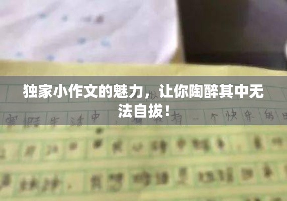 独家小作文的魅力,让你陶醉其中无法自拔!