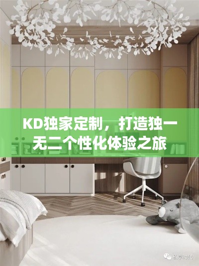 KD独家定制,打造独一无二个性化体验之旅