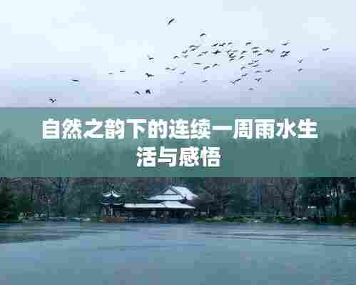 自然之韵下的连续一周雨水生活与感悟