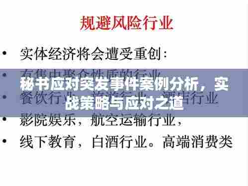 秘书应对突发事件案例分析,实战策略与应对之道