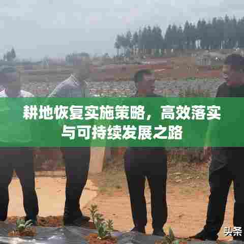 耕地恢复实施策略，高效落实与可持续发展之路