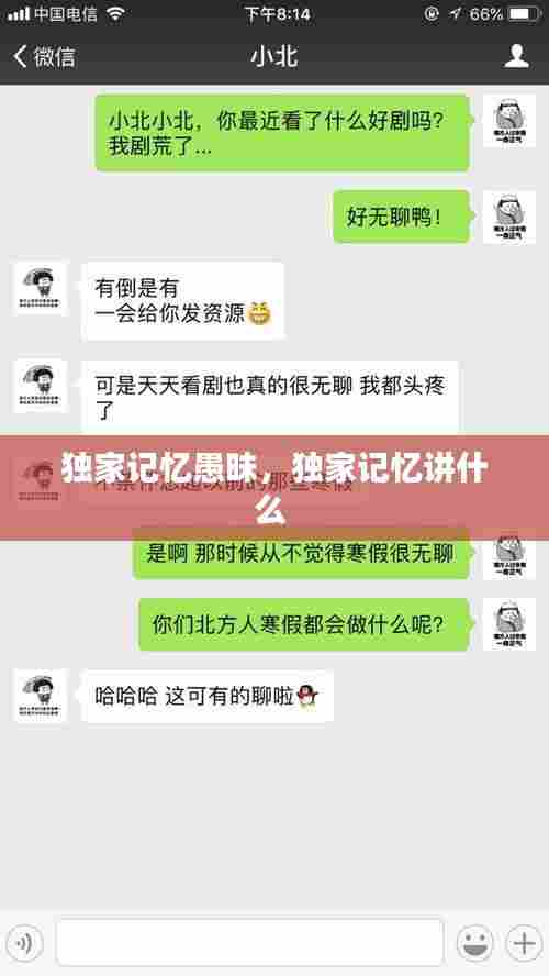 独家记忆愚昧,独家记忆讲什么