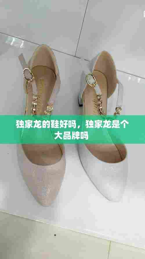 独家龙的鞋好吗,独家龙是个大品牌吗