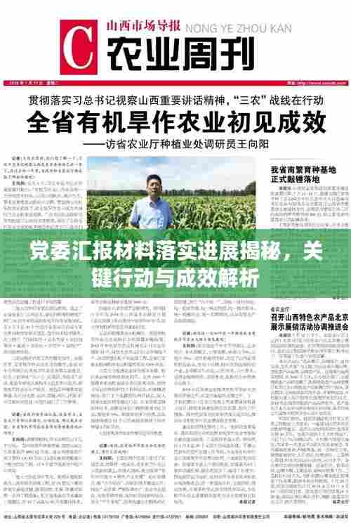 党委汇报材料落实进展揭秘，关键行动与成效解析