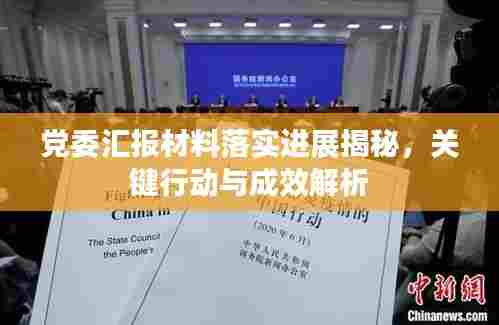 党委汇报材料落实进展揭秘,关键行动与成效解析