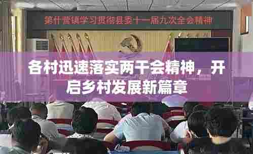 各村迅速落实两干会精神，开启乡村发展新篇章