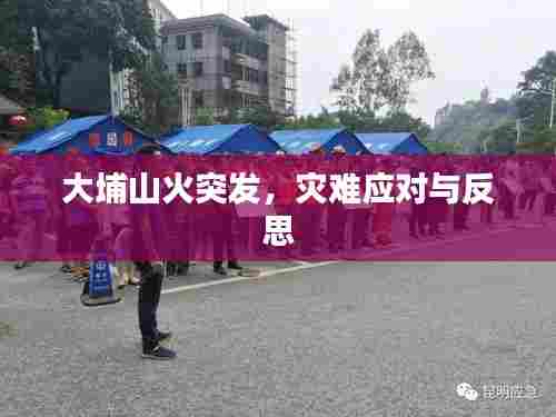 大埔山火突发,灾难应对与反思