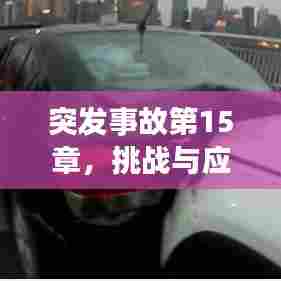 突发事故第15章,挑战与应对策略揭秘