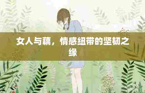 女人与藕，情感纽带的坚韧之缘