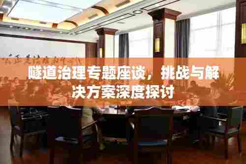 隧道治理专题座谈，挑战与解决方案深度探讨