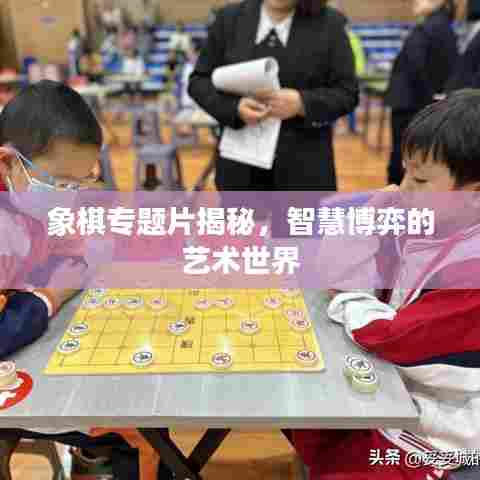 象棋专题片揭秘,智慧博弈的艺术世界