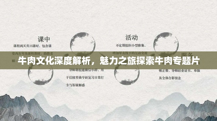 牛肉文化深度解析，魅力之旅探索牛肉专题片