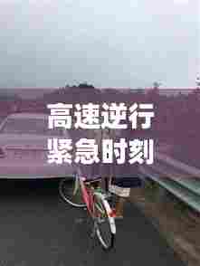 高速逆行紧急时刻，女子突发疾病与社会温暖救援的瞬间