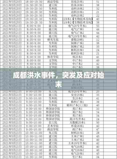 成都洪水事件，突发及应对始末