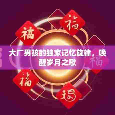 大厂男孩的独家记忆旋律,唤醒岁月之歌