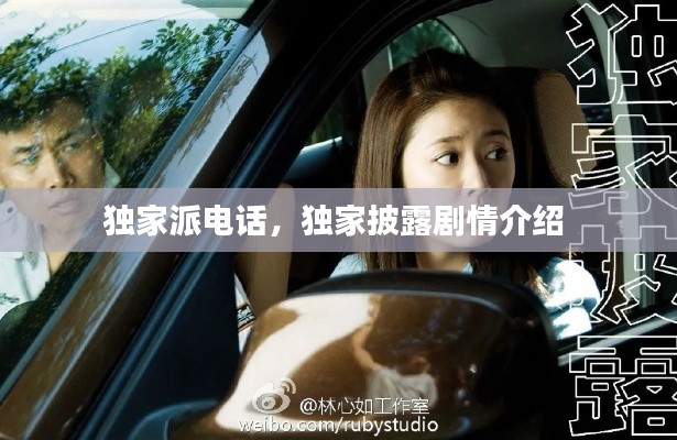 独家派电话，独家披露剧情介绍 