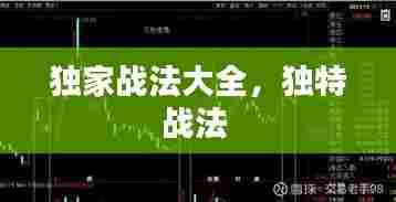 独家战法大全,独特战法