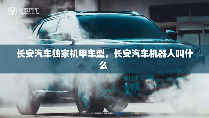 轻飞曼舞 第6页