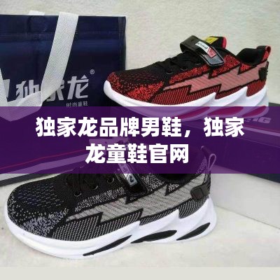 独家龙品牌男鞋,独家龙童鞋官网