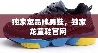 独家龙品牌男鞋,独家龙童鞋官网