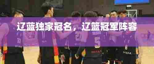 辽蓝独家冠名，辽篮冠军阵容 