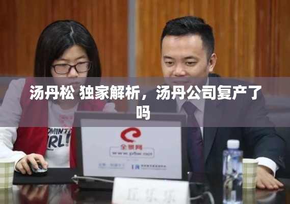 汤丹松 独家解析，汤丹公司复产了吗 