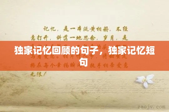 独家记忆回顾的句子，独家记忆短句 
