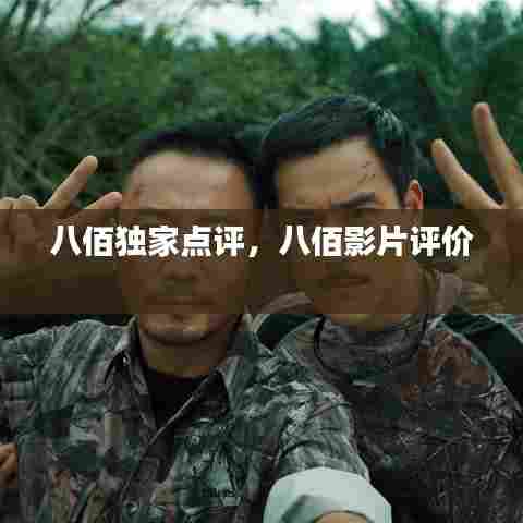 八佰独家点评,八佰影片评价
