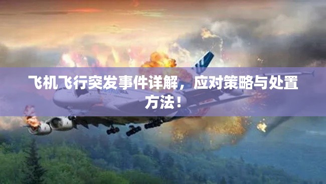 飞机飞行突发事件详解,应对策略与处置方法!
