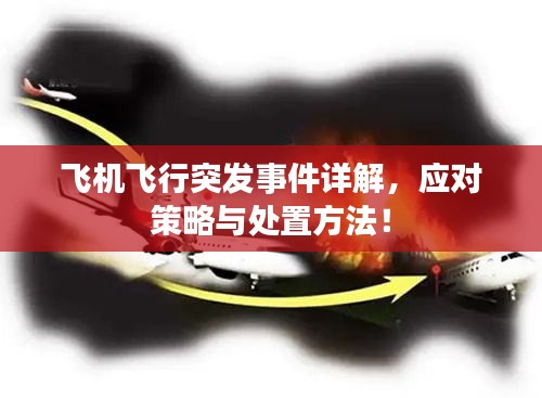 飞机飞行突发事件详解,应对策略与处置方法!