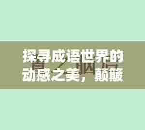 探寻成语世界的动感之美,颠簸之旅揭示语言魅力