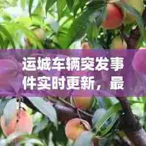 运城车辆突发事件实时更新,最新报道与进展