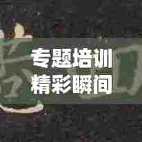 专题培训精彩瞬间，记录知识与技能的永恒印记