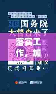 落实工作，加速行动，成效显著，执行力提升的关键