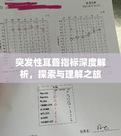 突发性耳聋指标深度解析，探索与理解之旅