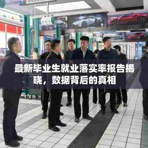 最新毕业生就业落实率报告揭晓，数据背后的真相