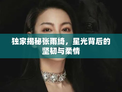 独家揭秘张雨绮，星光背后的坚韧与柔情