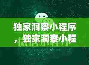 独家洞察小程序,独家洞察小程序是什么
