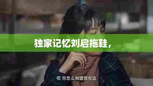 独家记忆刘启拖鞋,