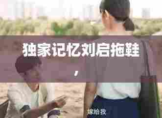 独家记忆刘启拖鞋,