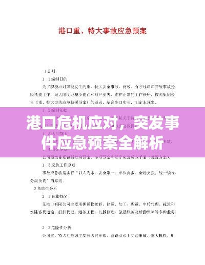 港口危机应对,突发事件应急预案全解析