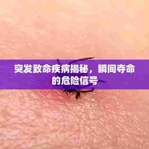 风韵犹存 第7页