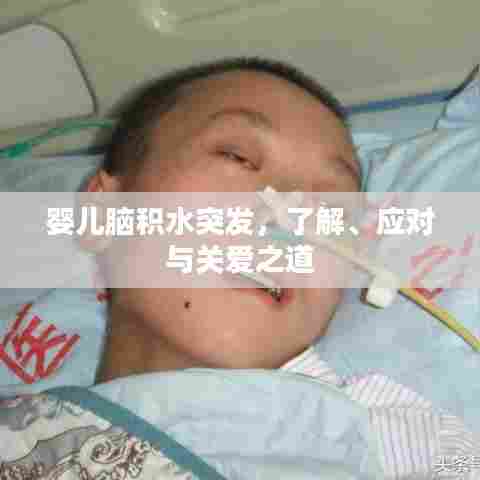 空前绝后 第8页