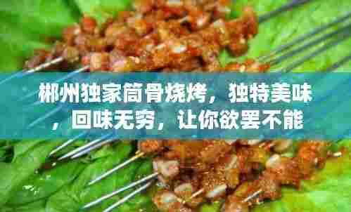 郴州独家筒骨烧烤，独特美味，回味无穷，让你欲罢不能