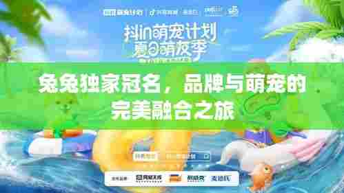 兔兔独家冠名,品牌与萌宠的完美融合之旅